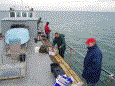 Bootvisnov 2009 23 20100106 1057661873