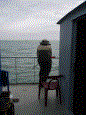 Bootvisnov 2009 24 20100106 1625937858