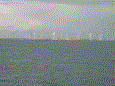 Bootvisnov 2009 26 20100106 1628777538