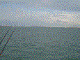 Bootvisnov 2009 27 20100106 1661884343
