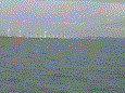Bootvisnov 2009 28 20100106 1952008016