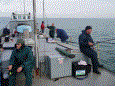 Bootvisnov 2009 29 20100106 1458903123