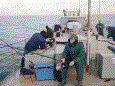 Bootvisnov 2009 30 20100106 1793413390